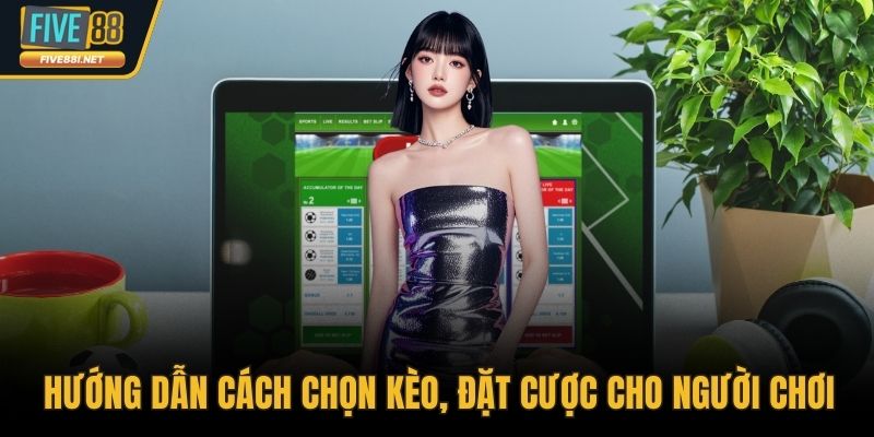 Hướng dẫn cách chọn kèo, đặt cược cho người chơi