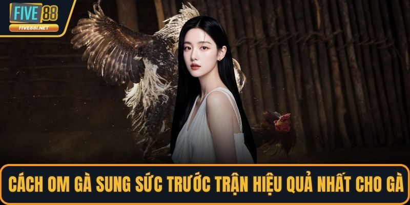 Cách om gà sung sức trước trận